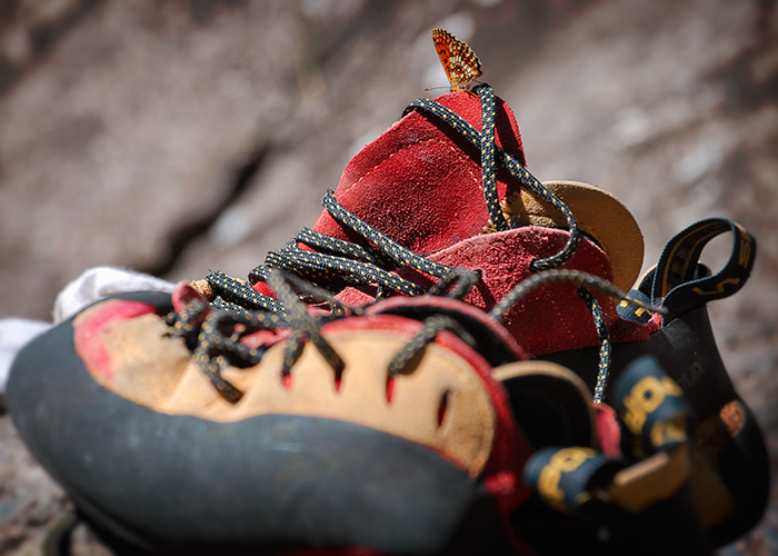 scarpetta d'Arrampicata sulla roccia con farfalla appoggiata sopra