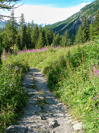 Easy Trekking a La Thuile